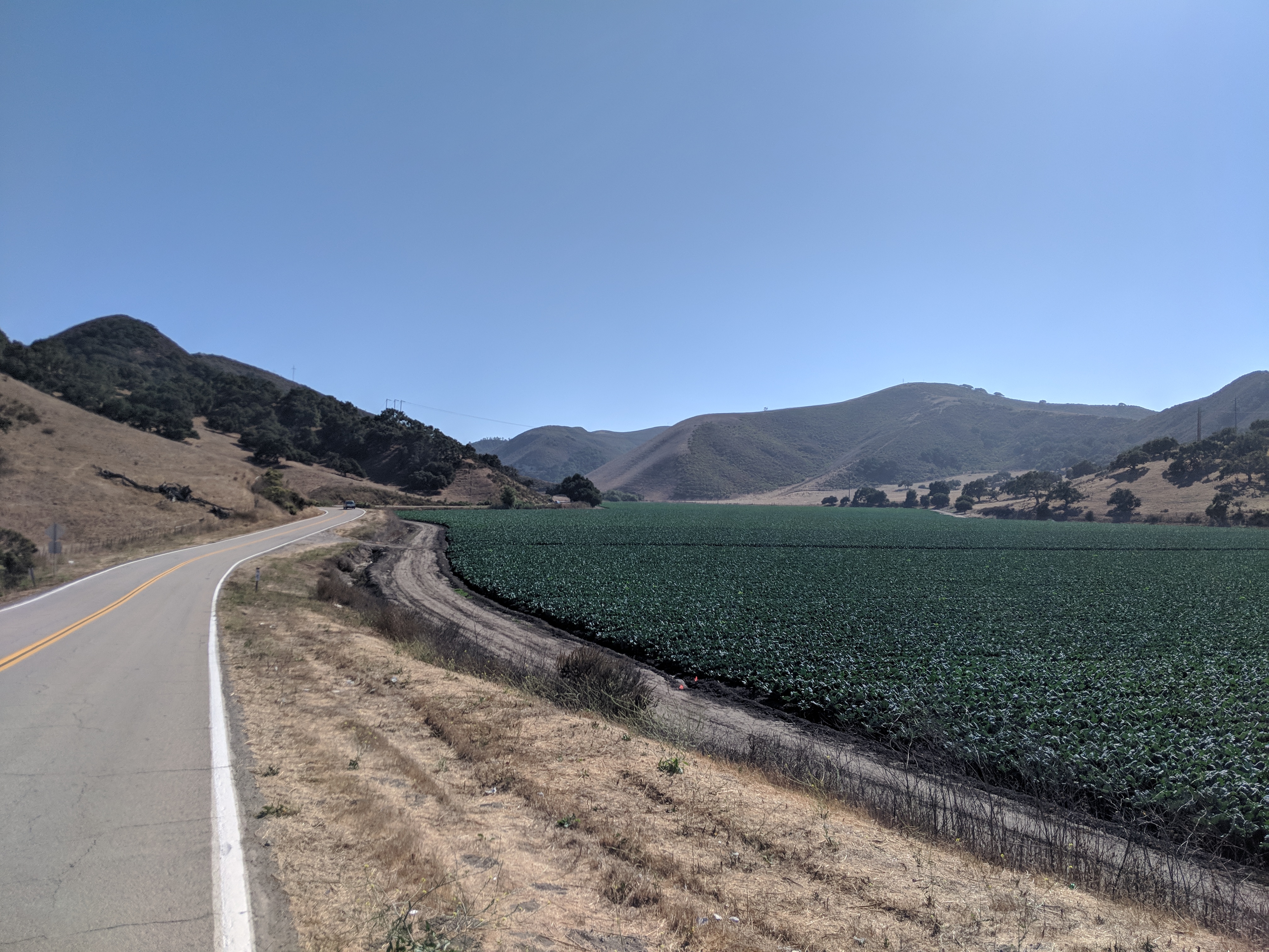 Farms near Guadalupe