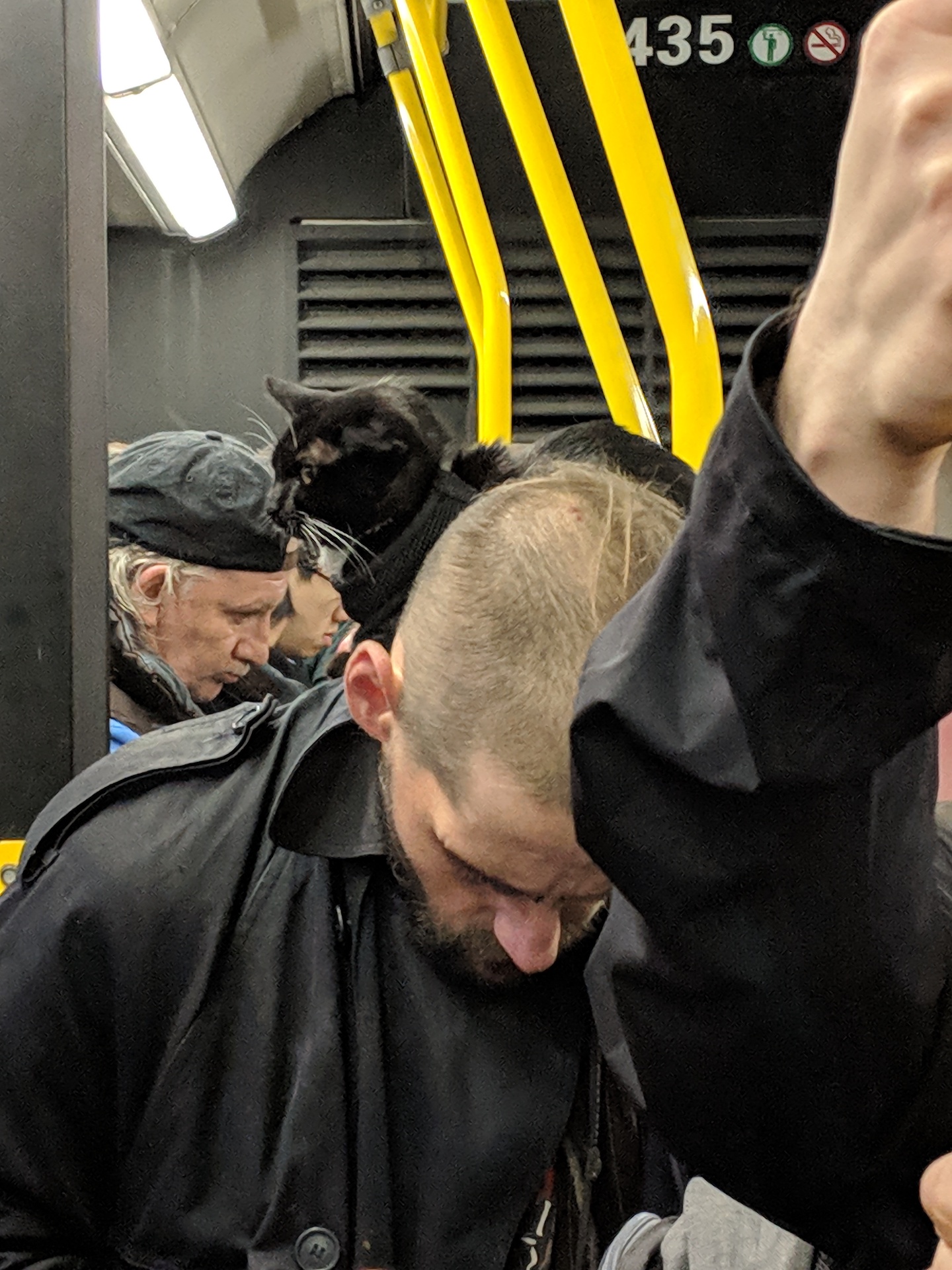A man on the SF Muni with a cat on his back