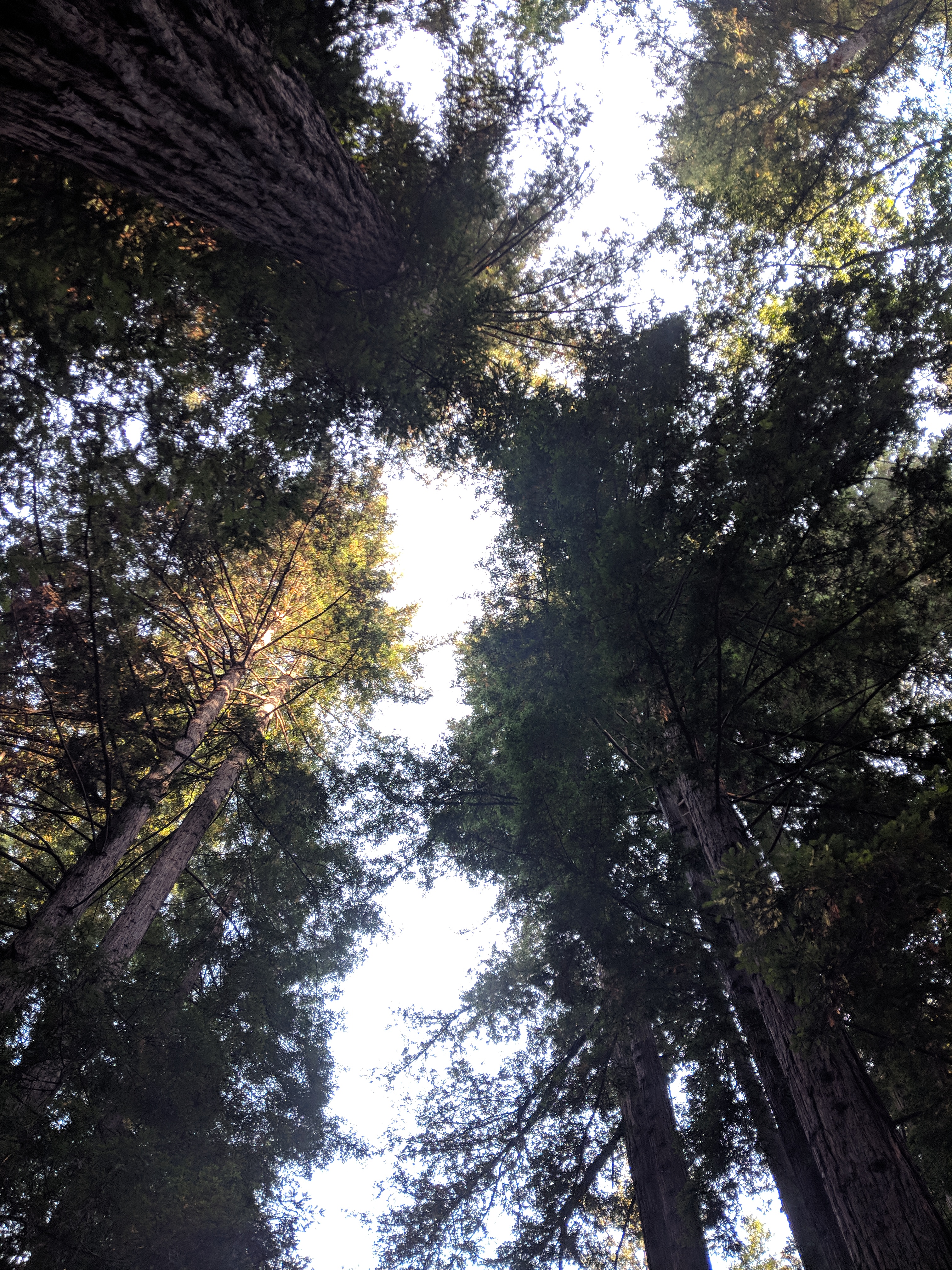 Pfeiffer Big Sur Campground